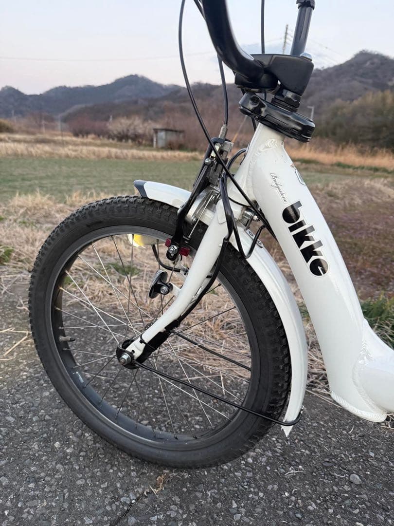 ホワイト 電動アシスト自転車 インチ