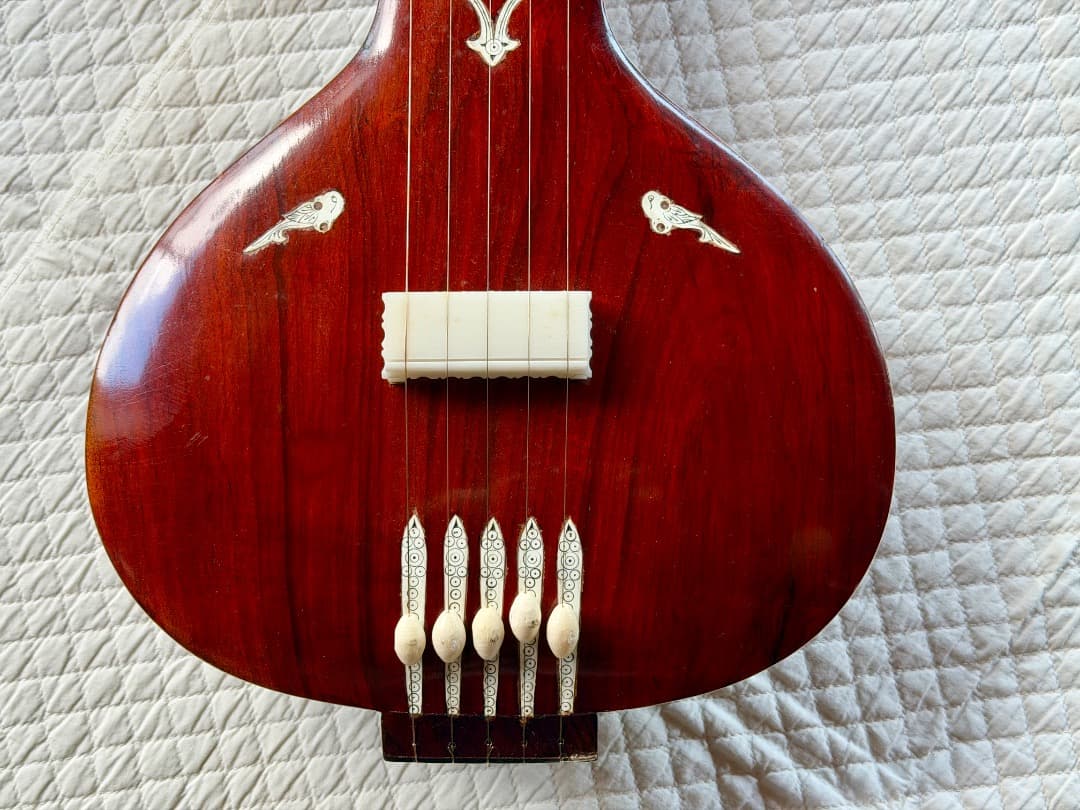 Tanpura タンプーラ 5弦 MONOJ KUMAR SARDAR製