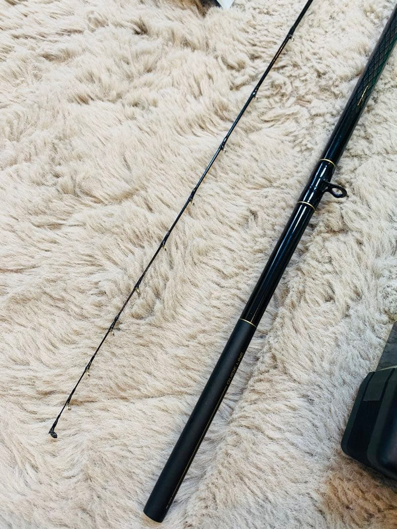 Daiwa 飛竜　ヘチ　2-210