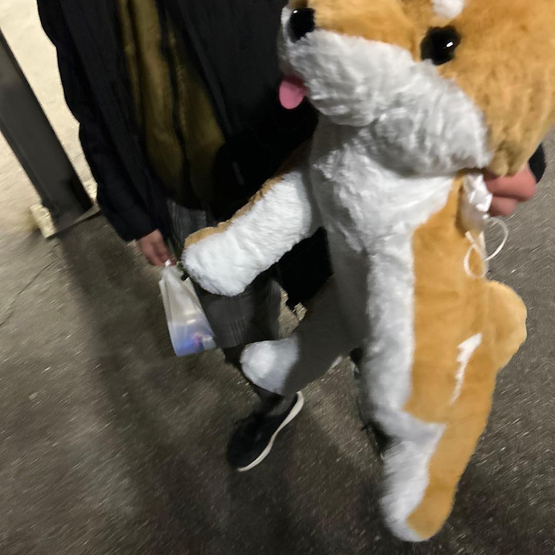 犬のぬいぐるみ 茶色と白 中型