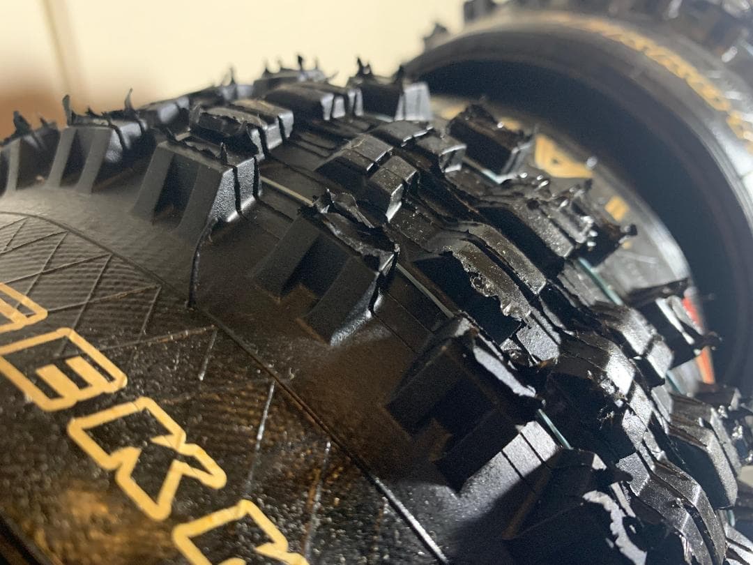 IRC TANKEN GEKKOTA 2本セット 29 × 2.3