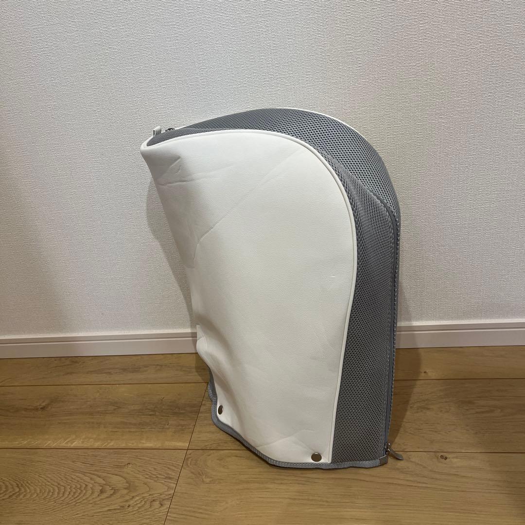 【美品】ブリヂストン ゴルフ BG-100L