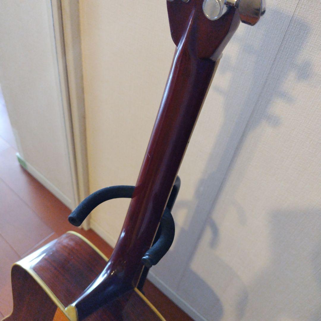 ★激鳴り　TFモーリス　W-50 スプルース単板　新品弦