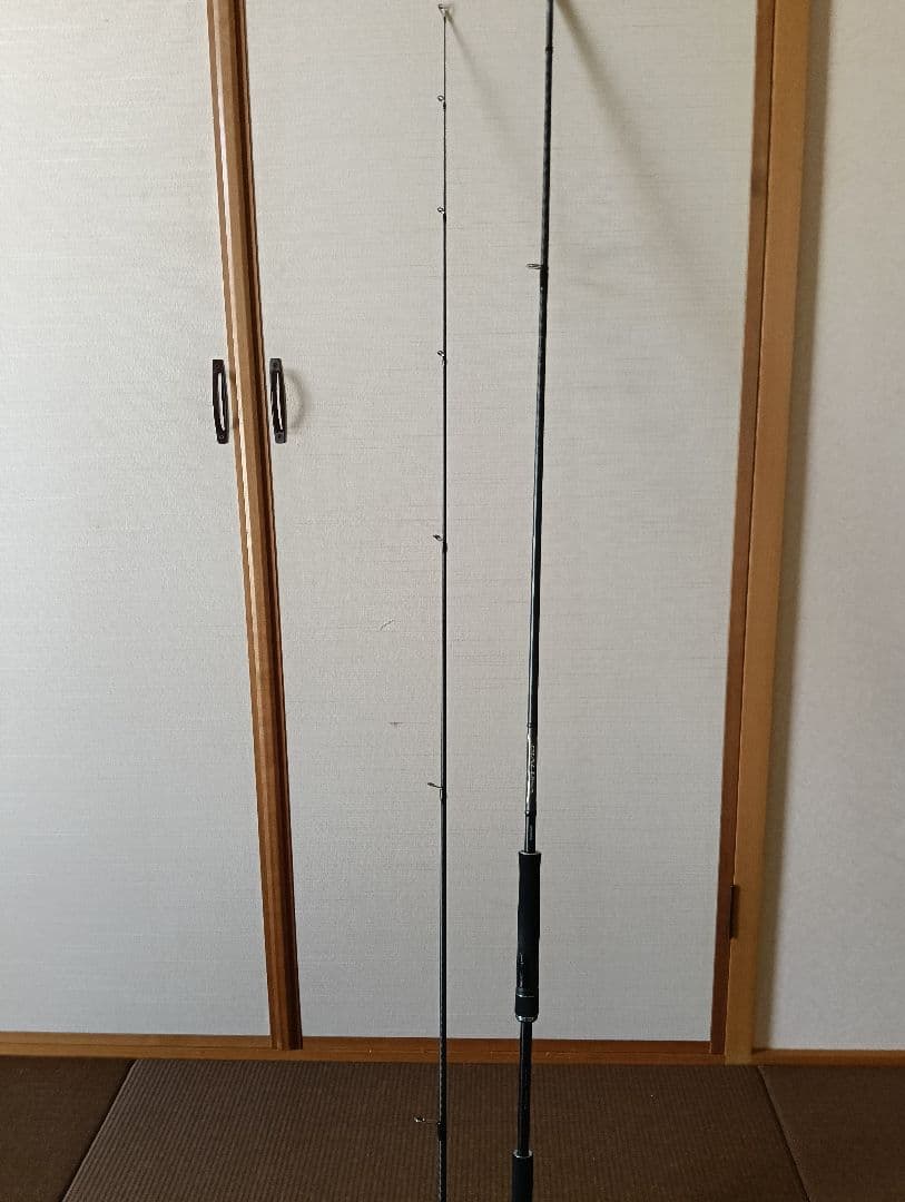 SHIMANO ディアルーナシーバスロッド