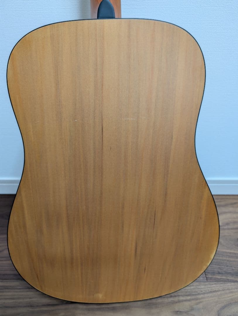 Ashton D20 アコースティックギター