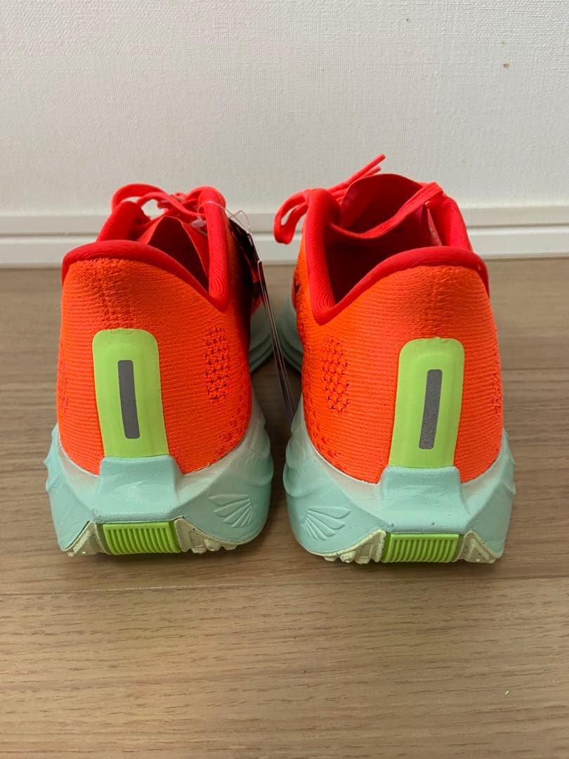NIKE Pegasus plus ナイキ ペガサスプラス 25㎝