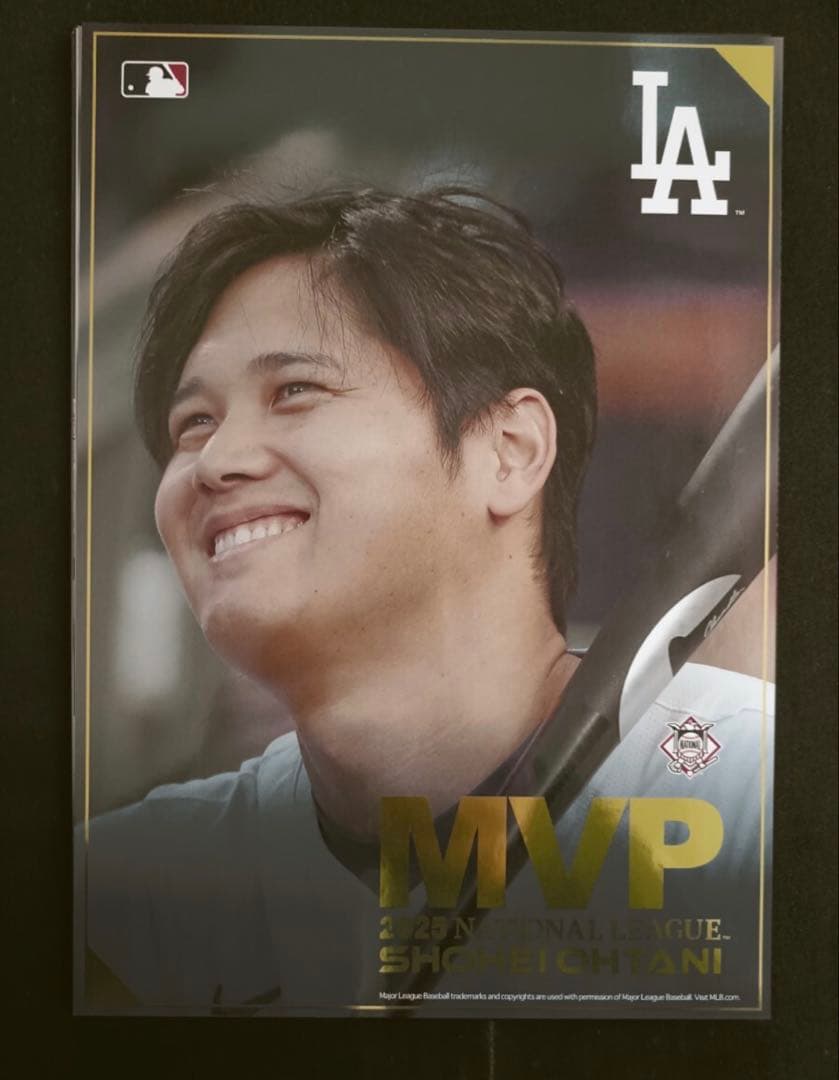 Shohei Ohtani 2025 MVP プレミアムフレーム