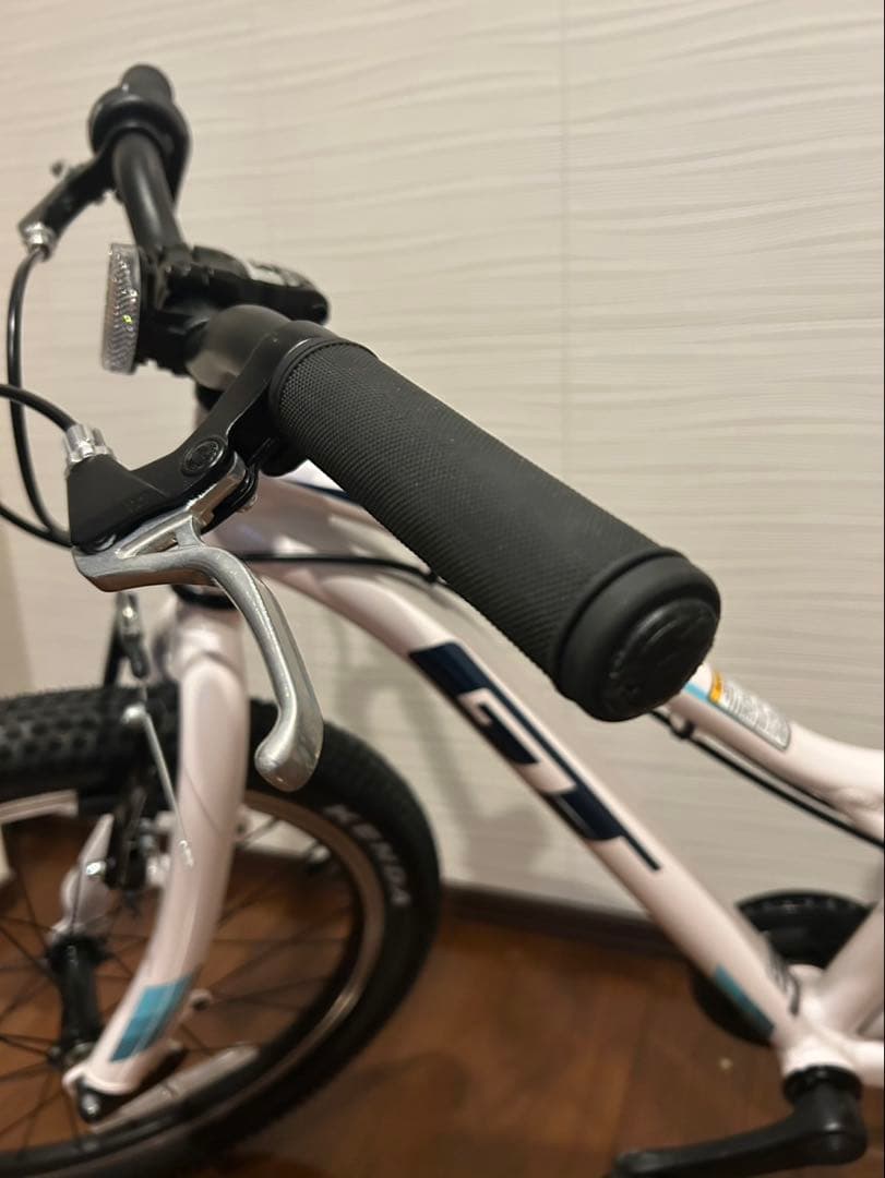 GT ストンパーエース　20インチ　子ども　マウンテンバイク