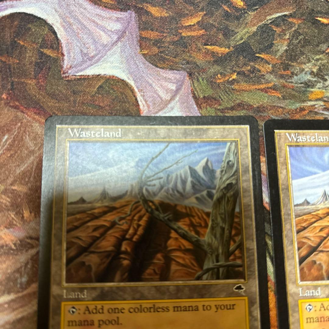 MTG 不毛の大地　テンペスト二枚