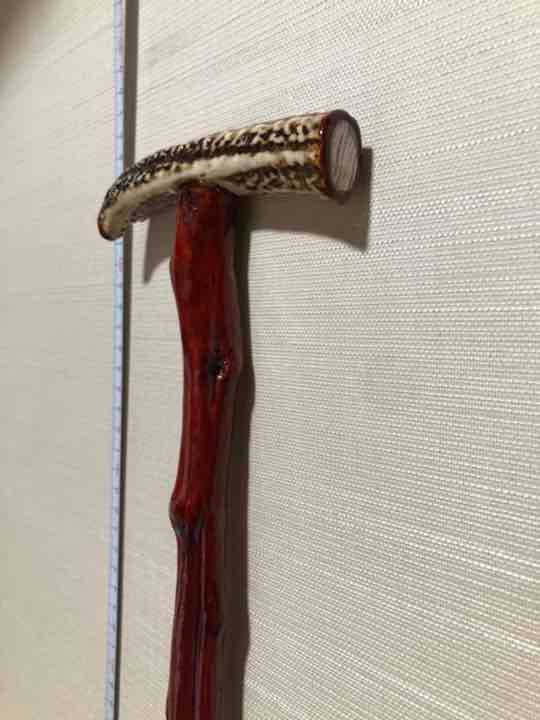 持ち手付 アカザの杖 伍