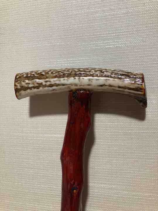 持ち手付 アカザの杖 伍