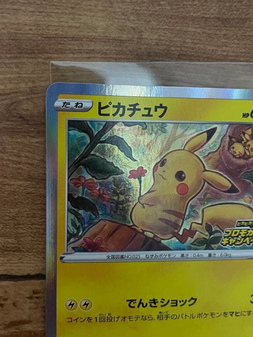 ピカチュウ　ピカピカ！ピカチュウ！PROMO プロモ124/S-P