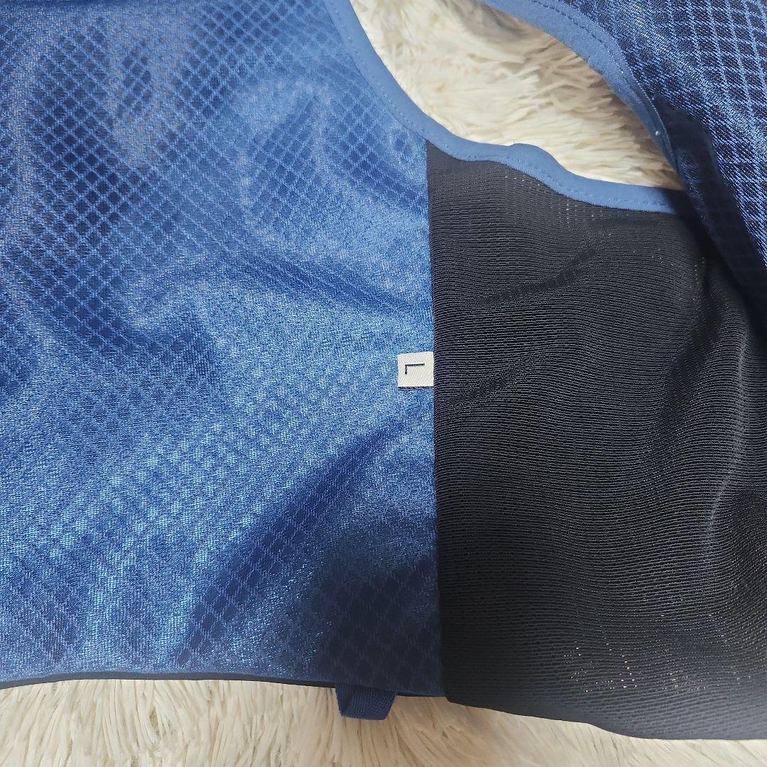 THE NORTH FACE TR ZERO ベスト
