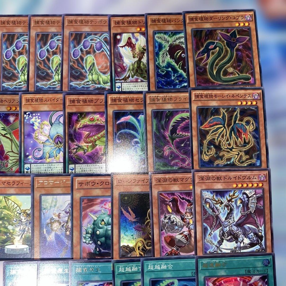 【2334】遊戯王　捕食植物デッキ　プレデタープランツ　本格構築　パーツ