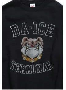 【新品未使用】Da-iCE Color Flocky Sweat Mサイズ