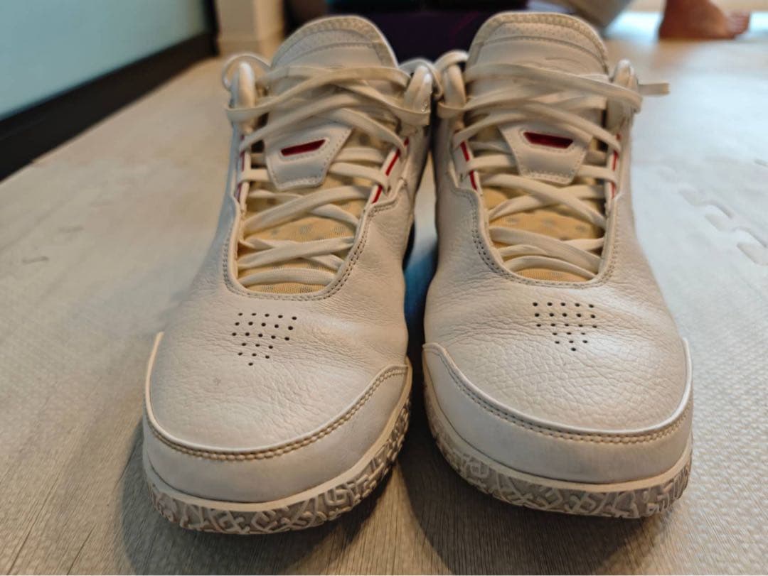 【美品】NIKE LeBron NXXT Gen 28.5cm