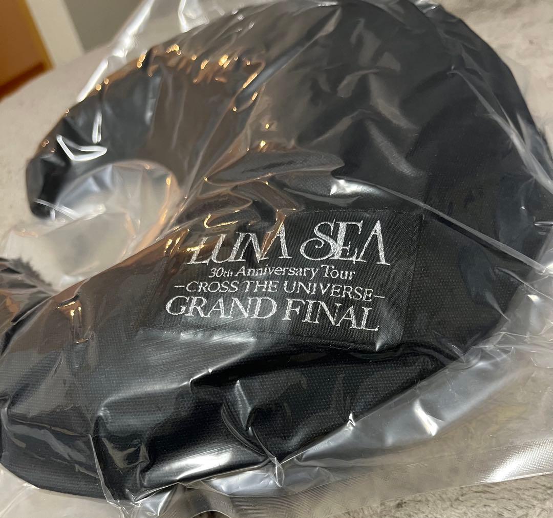LUNA SEA クッション　ラウンジマット