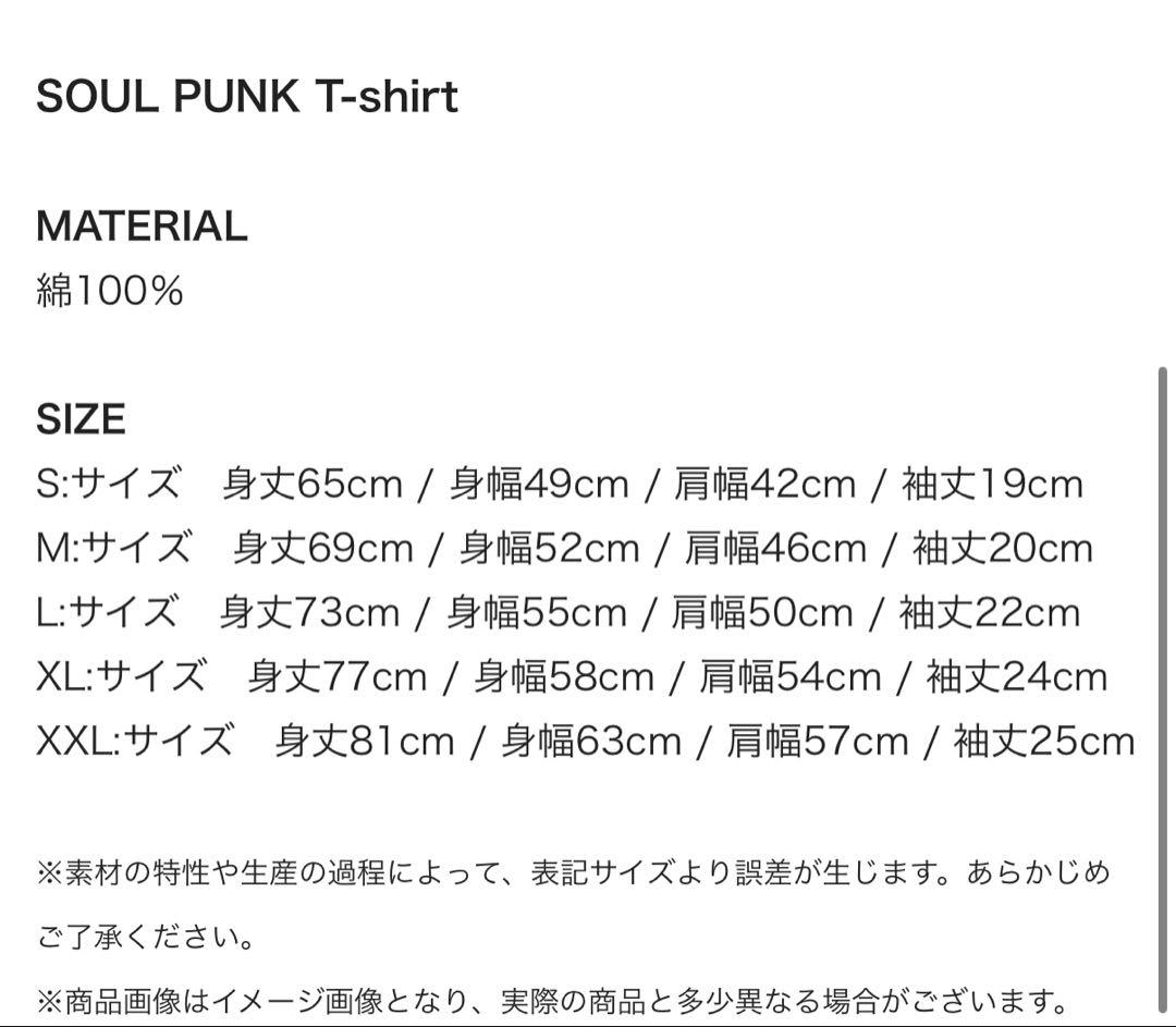 Hi-STANDARD SOUL PUNK Tシャツ XL ハイスタ