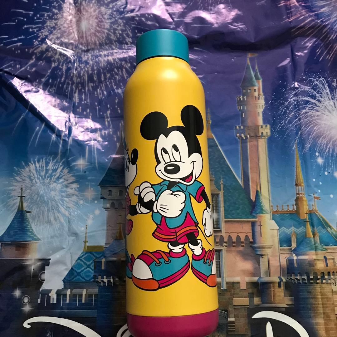 ディズニー　海外限定　水筒 630ml disneyland DLR WDW
