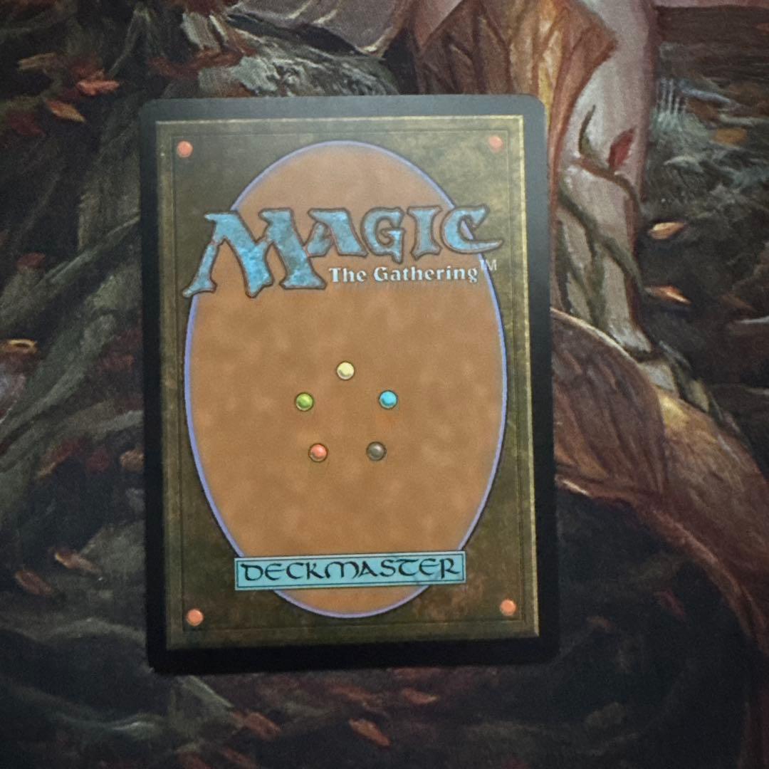 否定の力 日本語　ボーダーレス　2x2