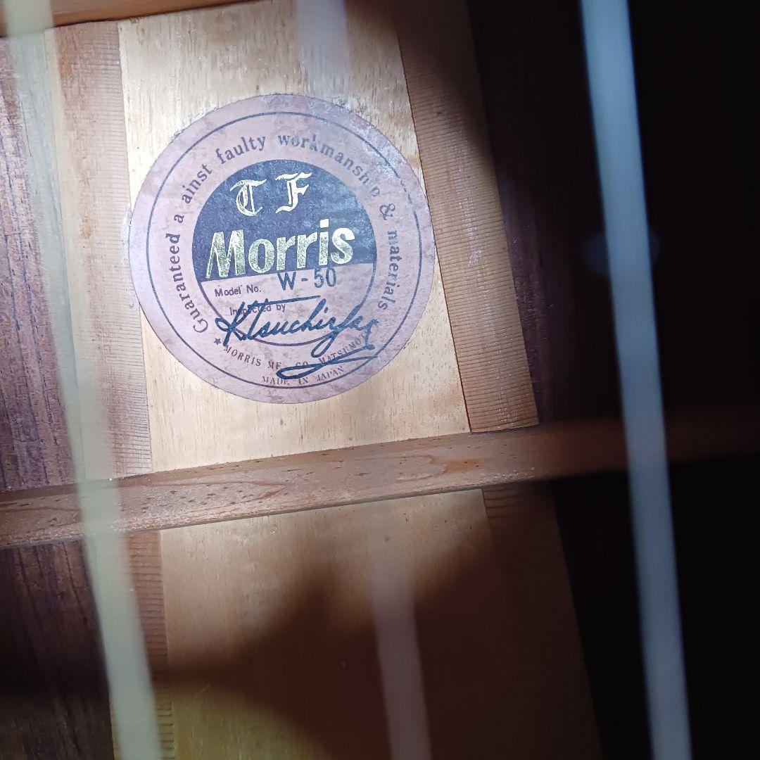 morris モーリスTF-W50 アコースティックギター