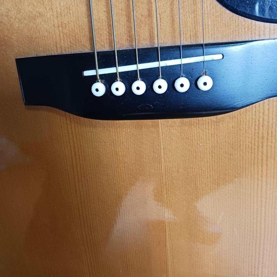 morris モーリスTF-W50 アコースティックギター