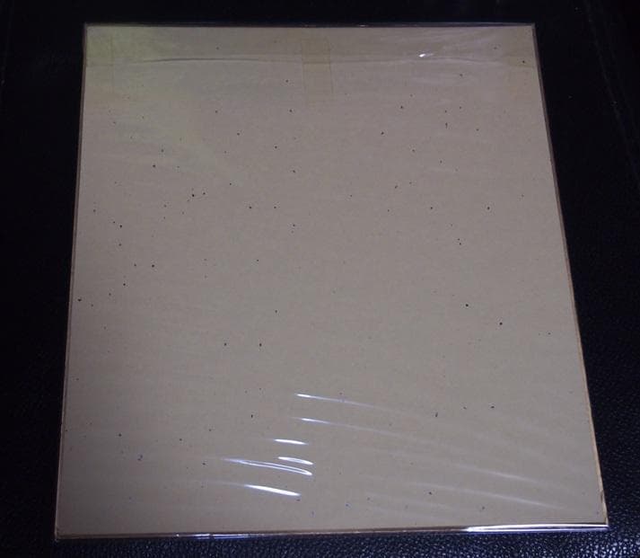 ★豪華額入★長嶋茂雄 直筆サイン 色紙★洗心★