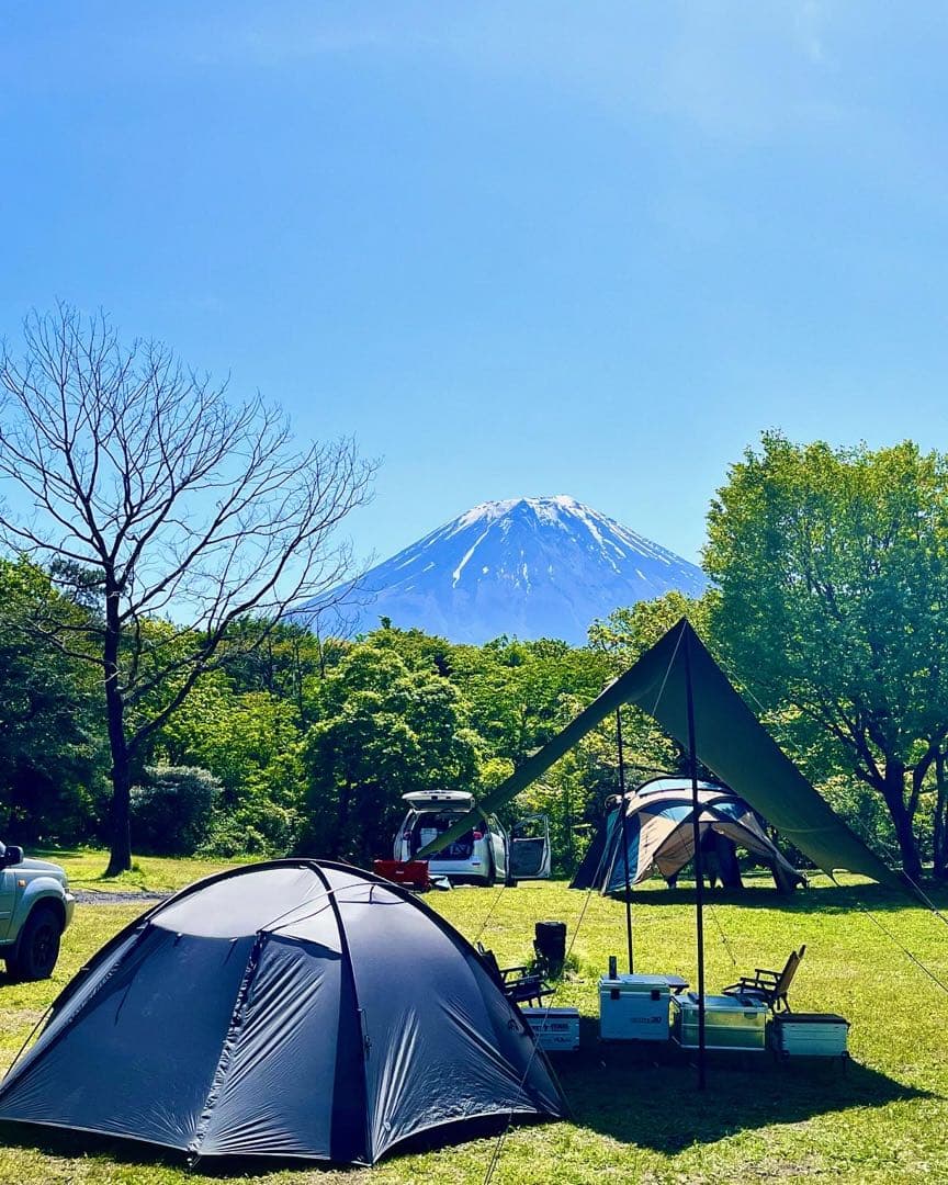 tfs stars3 シニアアッシュ