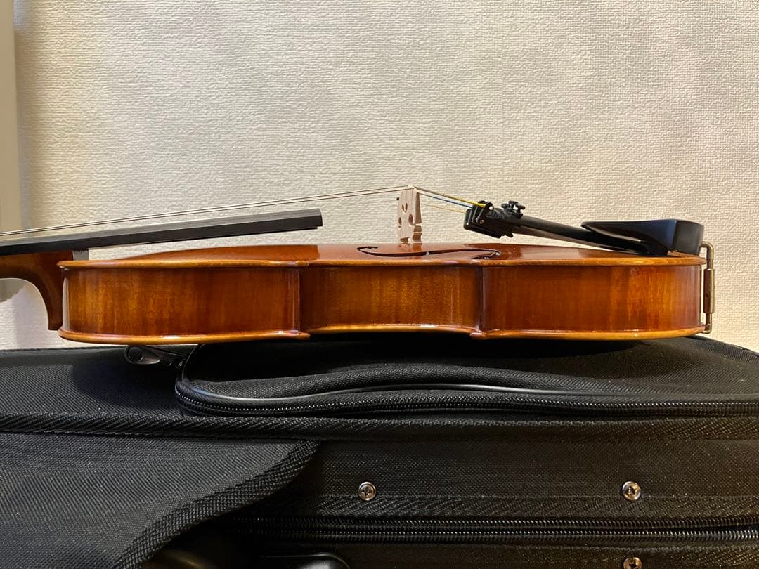 美品4/4バイオリンRoderich Paesold No804A 2001製