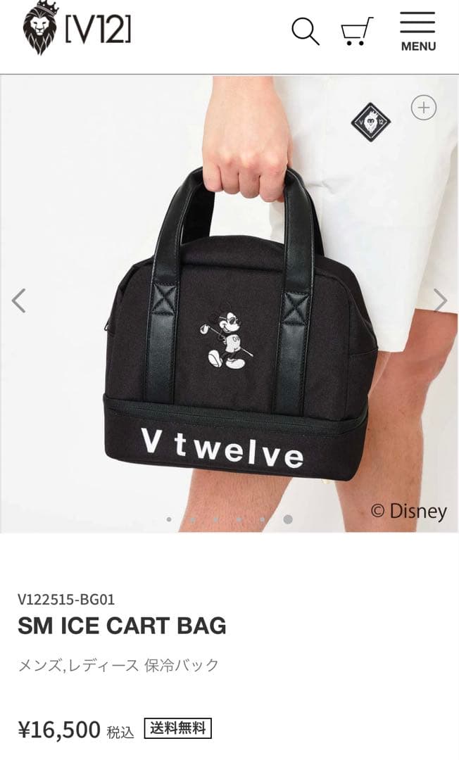 ラウンド用品・アクセサリー V12 SM ICE CART BAG