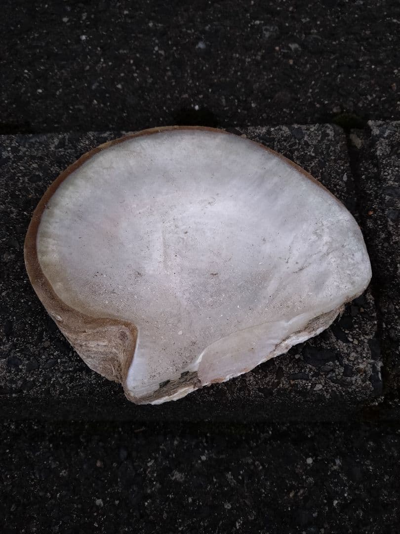 s.t様