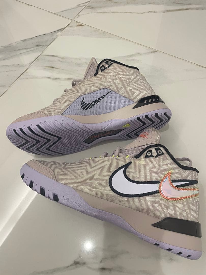 NIKE ナイキ　 レブロン NXXT ジーニサス　26.0