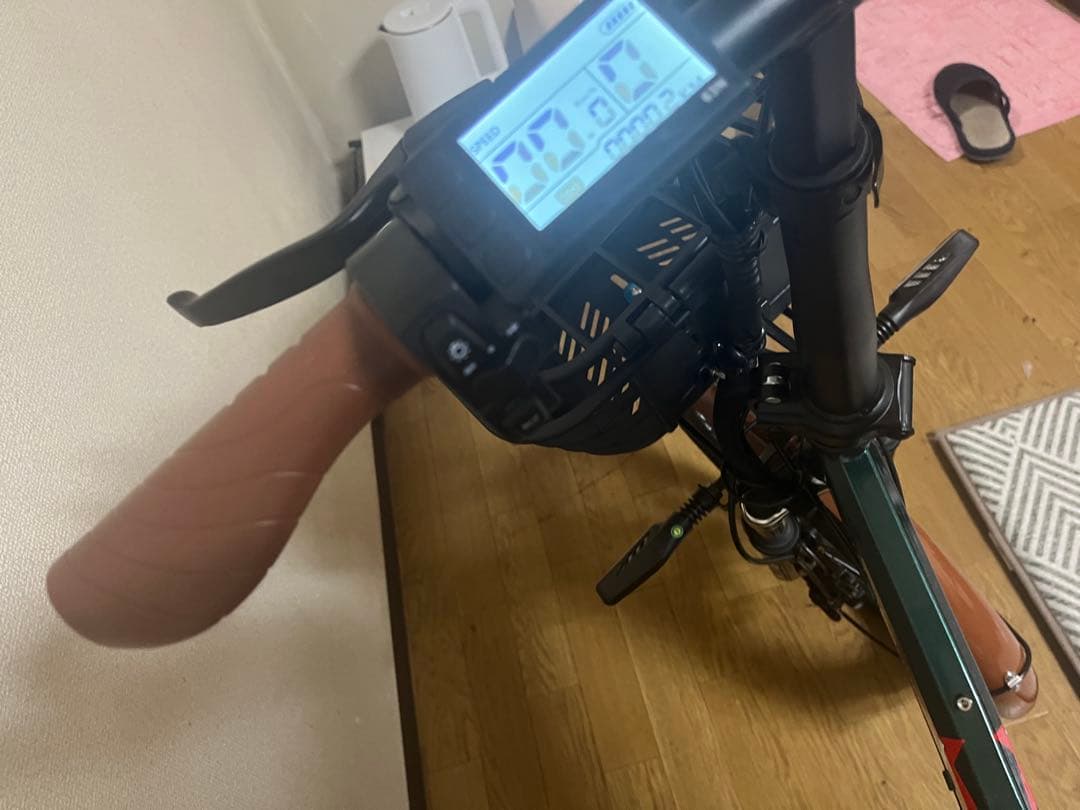 TAIGA様　購入専用　電動アシスト自転車