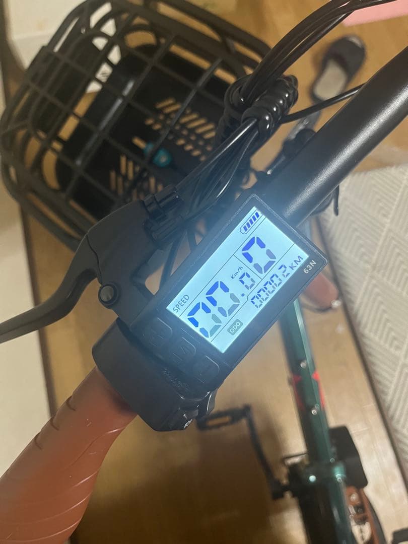 TAIGA様　購入専用　電動アシスト自転車