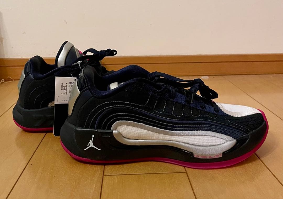 NIKE、Jordan、ルカ4 PF、27センチ