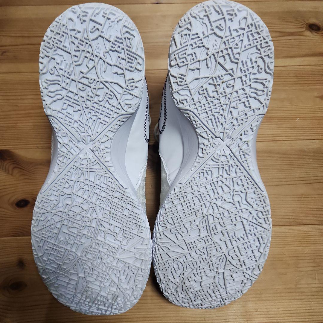 hamax 　NIKE　レブロン　NXXT GEN EP 29.0cm