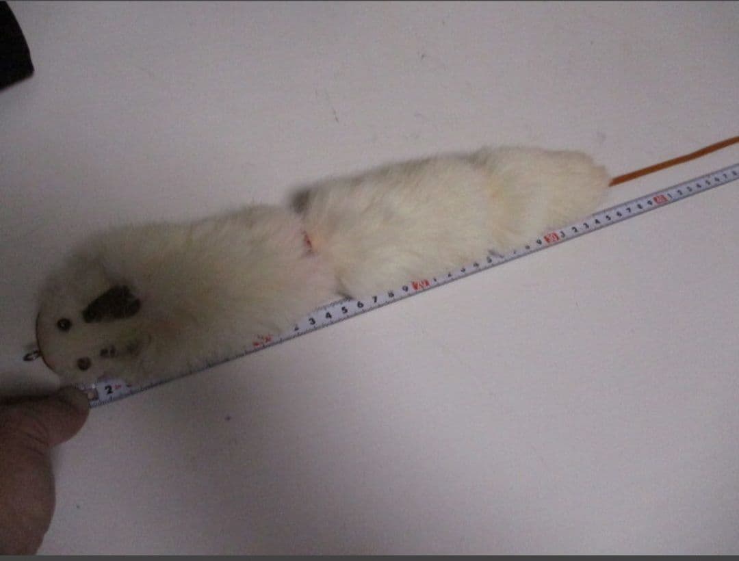 管理No.(361)　激レア特注　ムチョウワークス　３連ジョイントマウス60cm