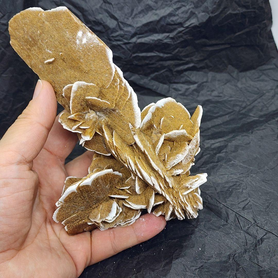 天然石 砂漠ローズ 美しいローズ状結晶 約16cm