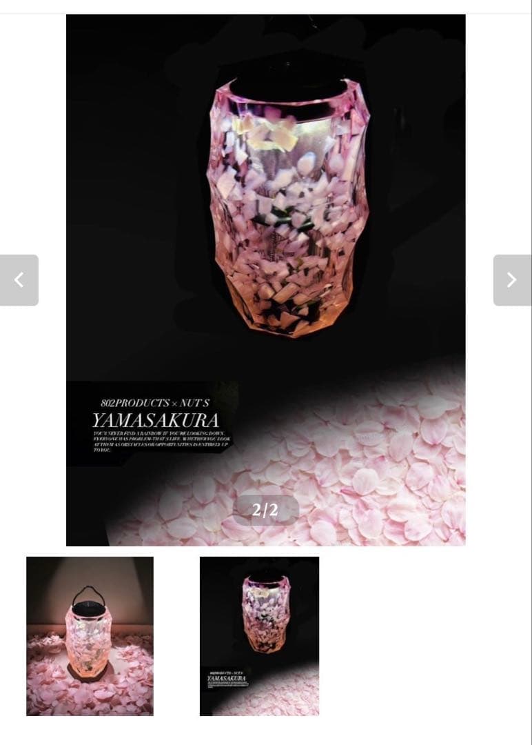 NUTS × 802PRODUCTS BRIESTA 山桜 ゴールゼロ