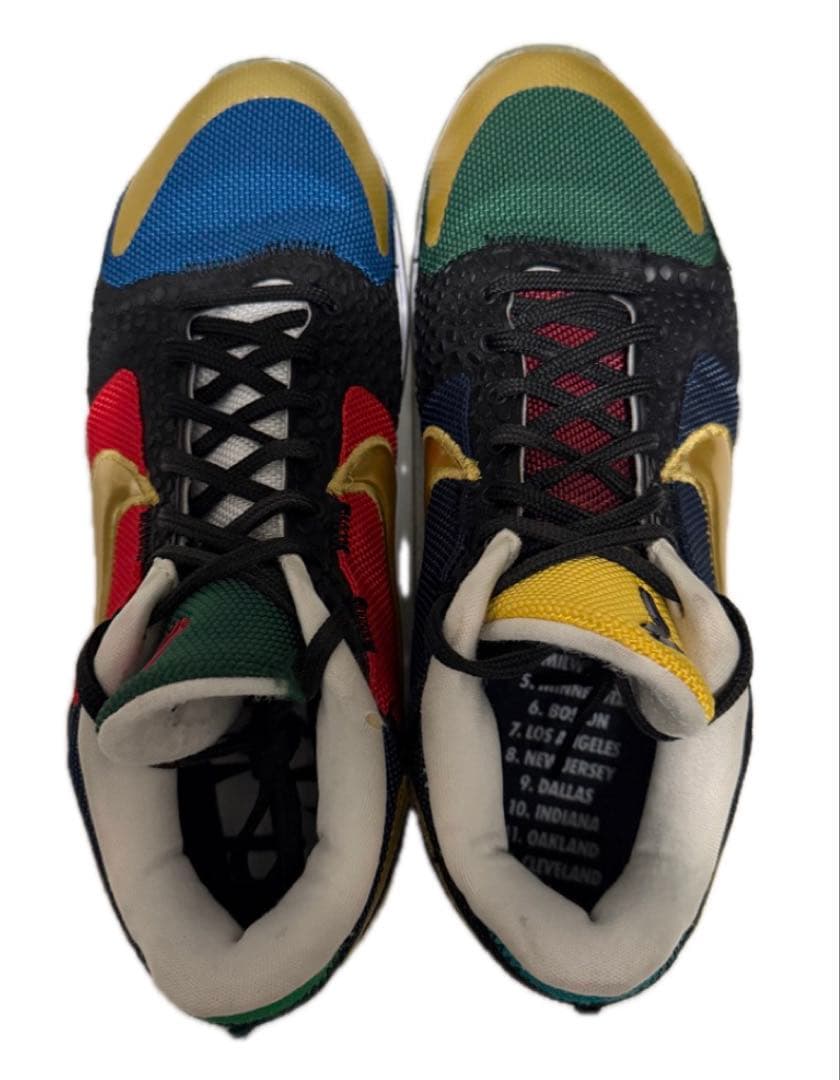 シューズ(男性用) UNDEFEATED Nike Kobe5 Protro Dirty Dozen