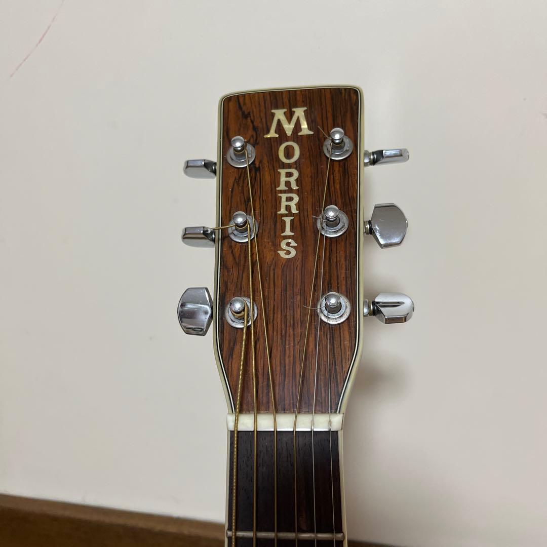 MORRIS アコースティックギターＷ-40