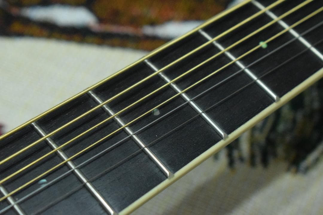 Ovation Celebrity CC48 Blue ハードケース付 動作良好