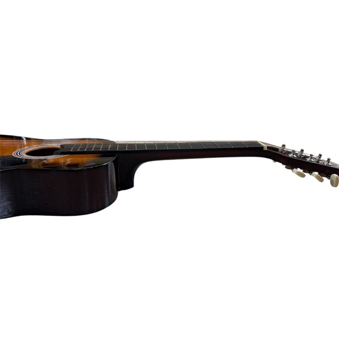 SepiaCrue W-50/TS アコースティックギター 音出し確認済み