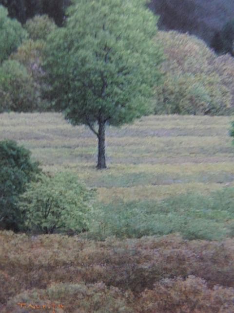 成田禎介、【山塊景】、希少な大判額装用画集より、美品、日本人画家
