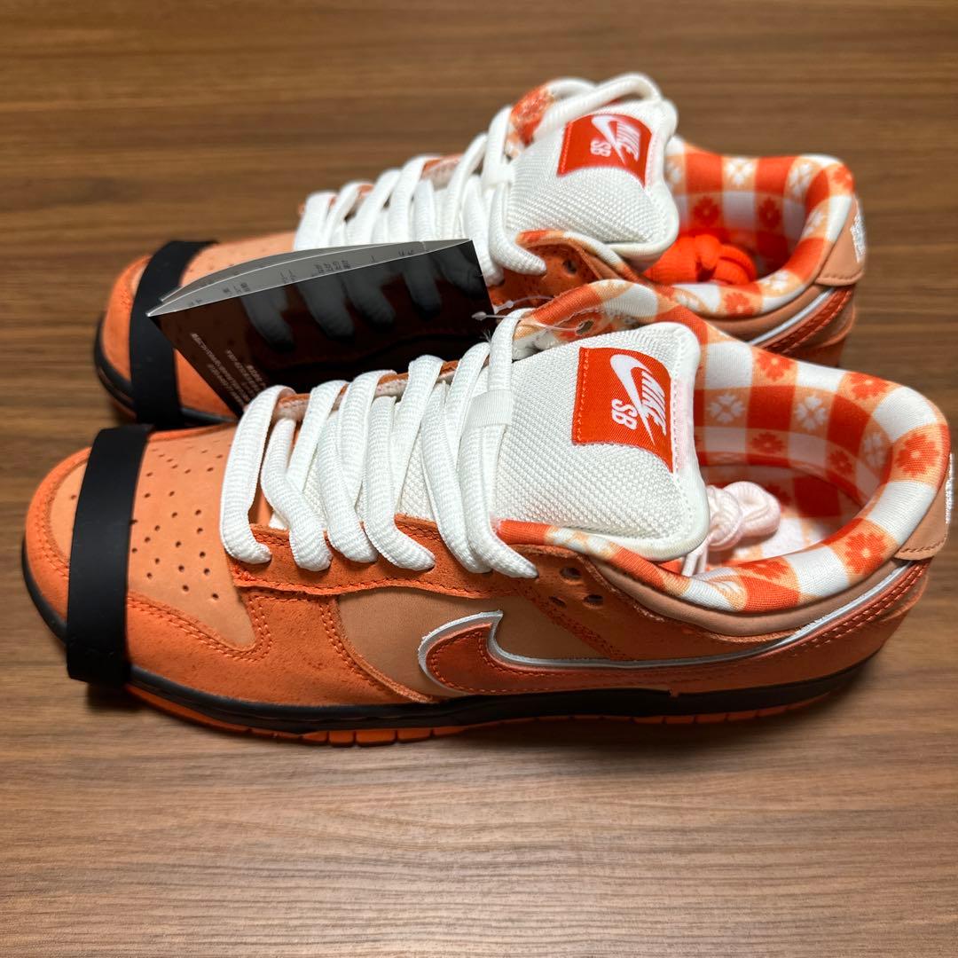NIKE ダンクsb ロブスター　24.5