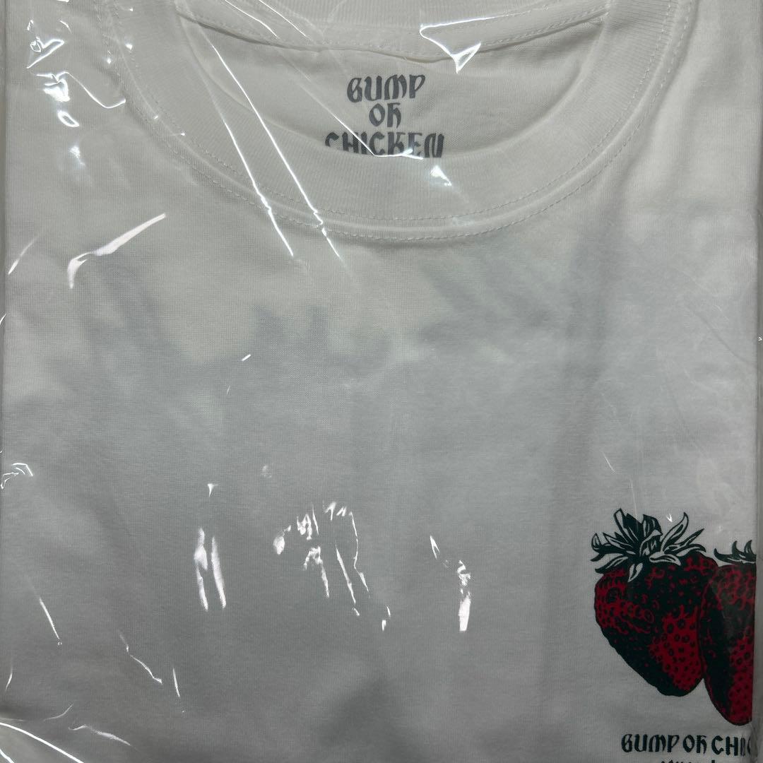 BUMP OF CHICKEN Strawberry Tシャツ　XL