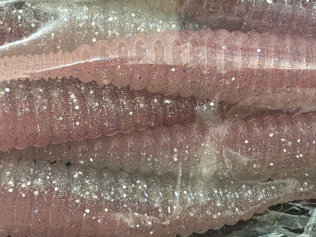 DEPS デスアダー 6インチ×12