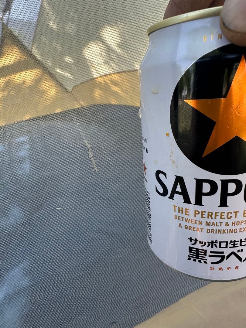 極稀少⭐︎モステント・青スターレット（Camden USA製）
