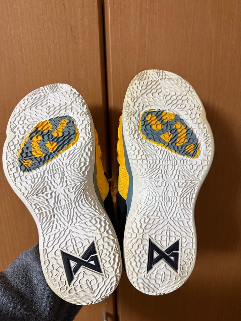 シューズ(男性用) Nike PG 2.5 \"Moon Exploration\"