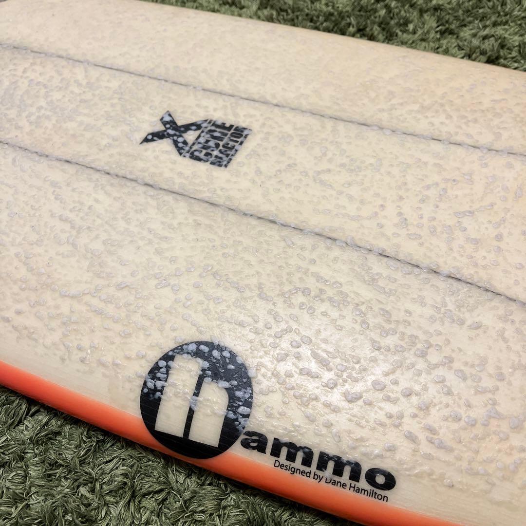 【手渡し限定】hammoハモ ＸCORE タイフーンワサビ(台風山葵)